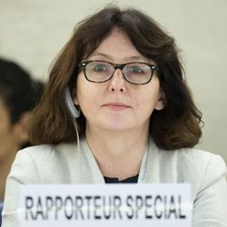 UN Special Rapporteur on violence against women, Dubravka Šimonović, presents her report to the Human Rights Council.