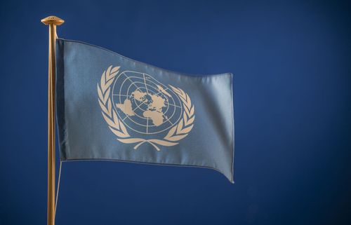 Flagge mit Weltkarte und zwei Olivenzweigen.